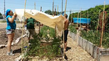 11665641_10153283380860100_7479399880410986793_n